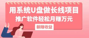 用系统U盘做长线项目，推广软件轻松月赚万元（附制作教程+软件）-仙女副业网