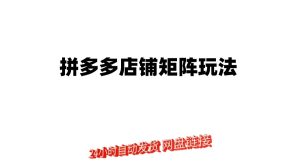 拼多多店铺矩阵玩法：低客单自然流矩阵 / 轻付费矩阵 动销-仙女副业网