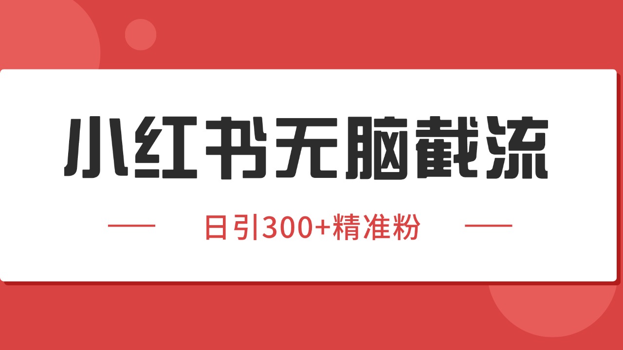 小红书截流同行客源，独家野路子获客玩法 日引200+暴力获客-仙女副业网