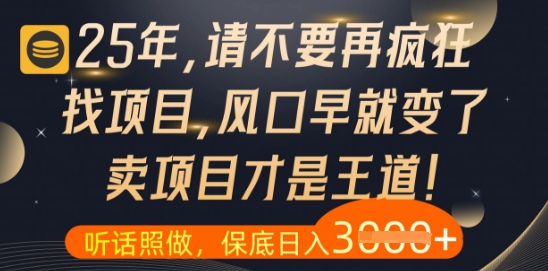 什么？25年你还在疯狂找项目做，醒醒吧，看完这些你全都懂了【揭秘】-仙女副业网