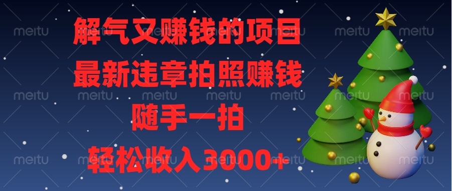 解气又赚钱的项目，最新违章拍照赚钱，随手一拍，轻松收入3000+-仙女副业网