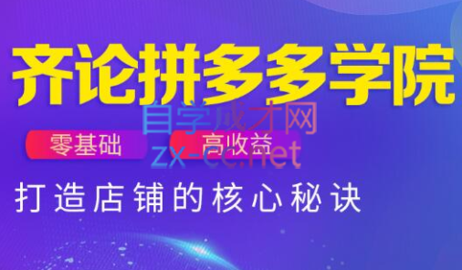 齐论拼多多vip课程-仙女副业网