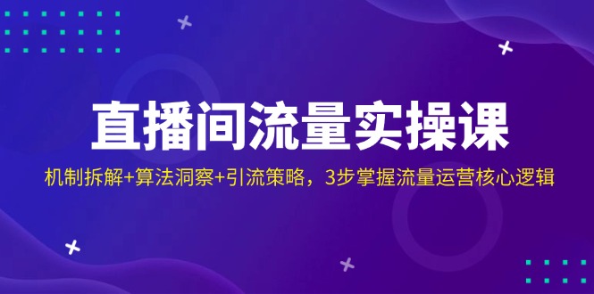 直播间流量实操课：机制拆解+算法洞察+引流策略，3步掌握流量运营核心逻辑-仙女副业网