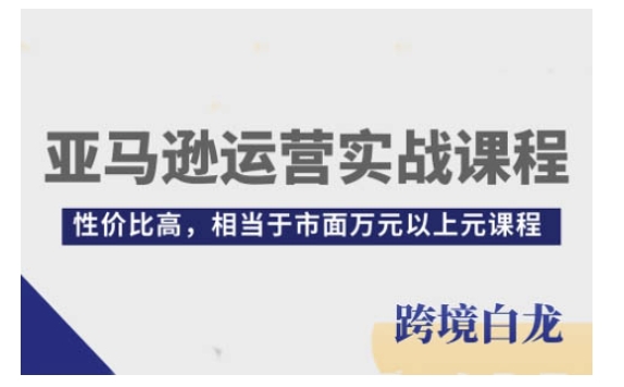 亚马逊运营实战课程，亚马逊从入门到精通，性价比高，相当于市面万元以上元课程-仙女副业网