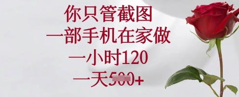 你只管截图，一部手机在家做，一小时120.一天5张【揭秘】-仙女副业网