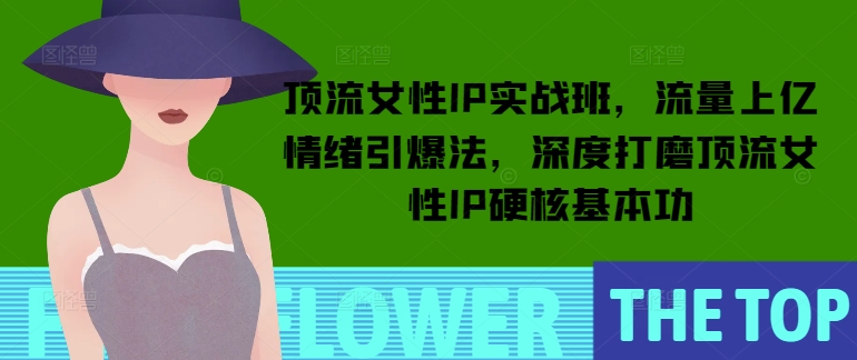 顶流女性IP实战班，流量上亿情绪引爆法，深度打磨顶流女性IP硬核基本功-仙女副业网