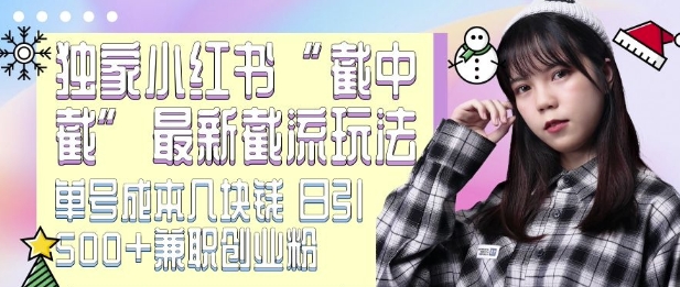 最新小红书截流玩法 独家截中截 单号成本几块钱 日引500+CY粉JZ粉-仙女副业网