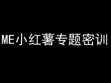 ME小红薯专题密训-小红书电商教程-仙女副业网