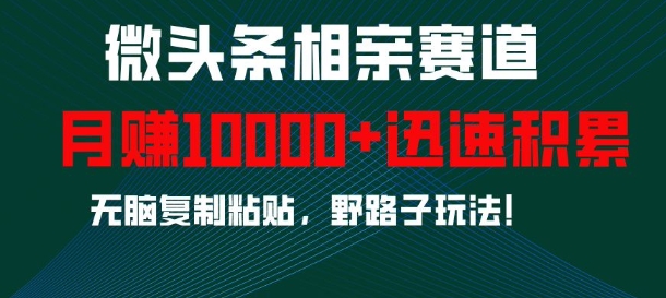 微头条相亲赛道，迅速积累，无脑复制粘贴，野路子玩法，月入1w-仙女副业网