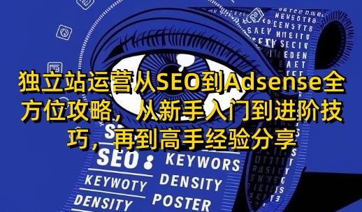 独立站运营从SEO到Adsense全方位攻略，从新手入门到进阶技巧，再到高手经验分享-仙女副业网
