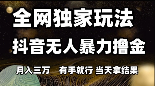 全网独家玩法抖音无人暴力撸金，月入3W，有手就行，当天拿结果【揭秘】-仙女副业网