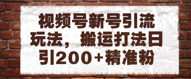 视频号新号引流玩法，搬运打法日引200+精准粉，可矩阵放大【揭秘】-仙女副业网