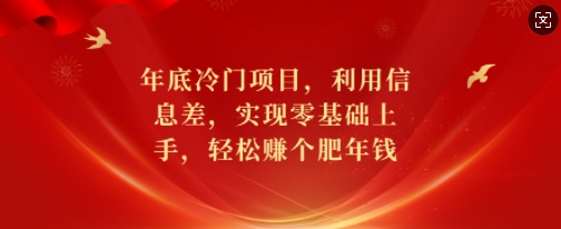 年底冷门项目，利用信息差，实现零基础上手，轻松赚个肥年钱【揭秘】-仙女副业网