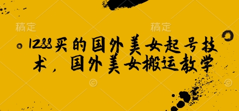 1288买的国外美女起号技术，国外美女搬运教学-仙女副业网