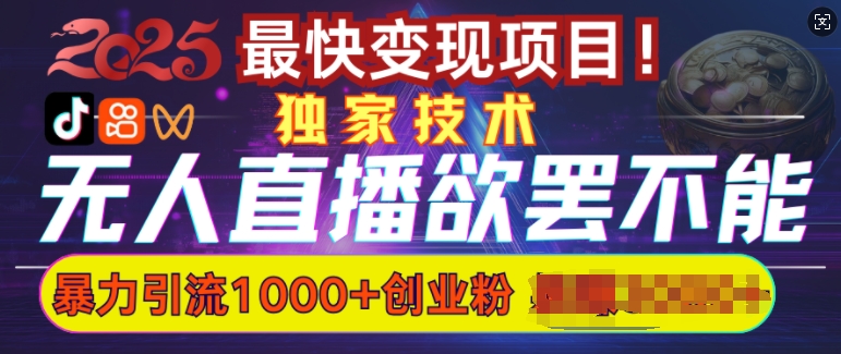 欲罢不能的无人直播引流，超暴力日引流1000+高质量精准创业粉-仙女副业网