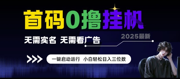首码0撸挂G项目，无需实名无需看广告 一键启动运行，小白轻松日入三位数【揭秘】-仙女副业网