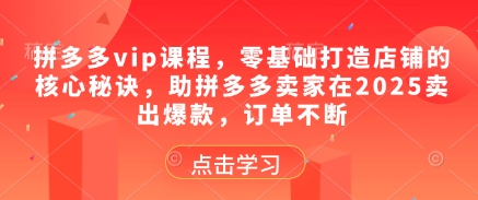 拼多多vip课程，零基础打造店铺的核心秘诀，助拼多多卖家在2025卖出爆款，订单不断-仙女副业网