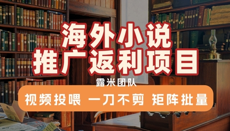 海外小说推广返利项目，视频投喂， 一刀不剪，矩阵批量-仙女副业网