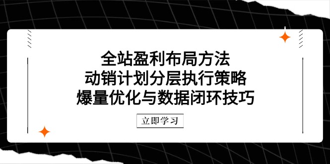 全站盈利布局方法：动销计划分层执行策略，爆量优化与数据闭环技巧-仙女副业网