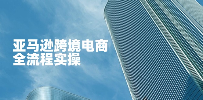 亚马逊跨境电商全流程实操，教你从零开始，掌握店铺运营与广告技巧-仙女副业网