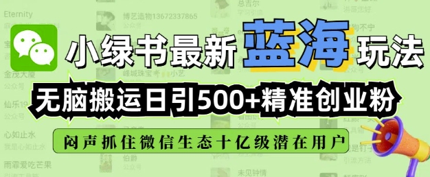 小绿书无脑搬运引流，全自动日引500精准创业粉，微信生态内又一个闷声发财的机会-仙女副业网