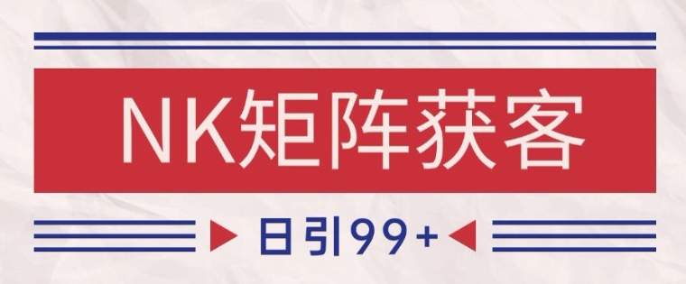 小红书某音NK赛道引流获客 自热矩阵日引200+【揭秘】-仙女副业网