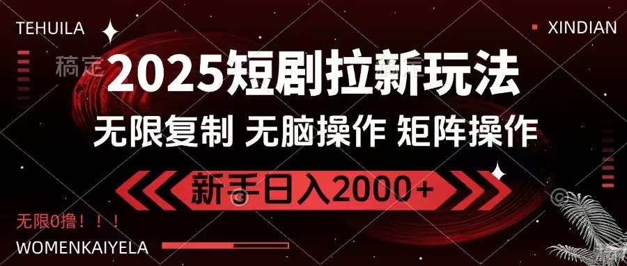 2025短剧拉新玩法，无需注册登录，无限0撸，无脑批量操作日入2000+-仙女副业网