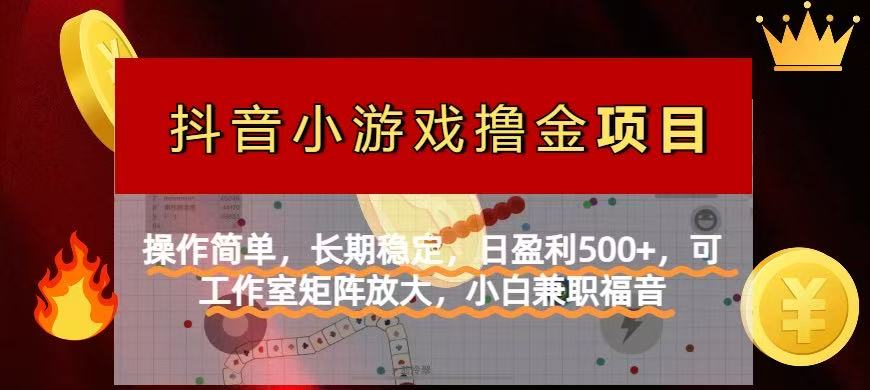 【抖音小游戏发行人计划项目】操作简单，长期稳定，日盈利500+，可工作...-仙女副业网