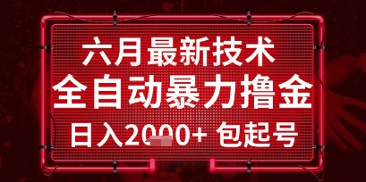 六月最新技术全自动暴力撸金，稳定日入2k+包起号，长期稳定【揭秘】-仙女副业网