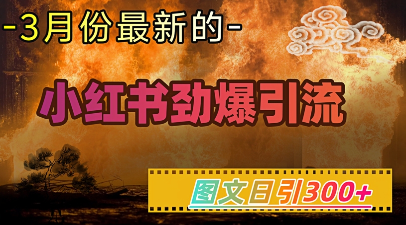 小红书超劲爆引流手段，图文日引300+轻松变现1W-仙女副业网