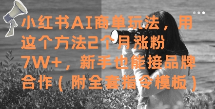 小红书AI商单玩法，用这个方法2个月涨粉7W+，新手也能接品牌合作(附全套指令模板)-仙女副业网