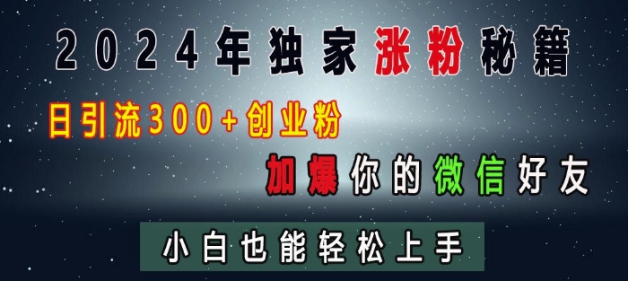 2024年独家涨粉秘籍，日引流300+创业粉，加爆你的微信好友，小白也能轻松上手-仙女副业网