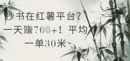 抄书在小红薯平台？平均一单30米，一天收益几张！-仙女副业网