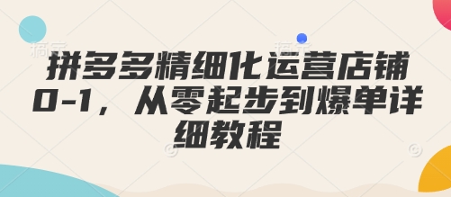 拼多多精细化运营店铺0-1，从零起步到爆单详细教程-仙女副业网