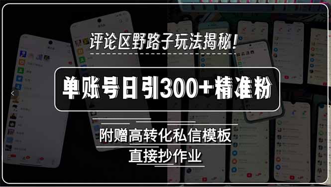 评论区野路子玩法揭秘！单账号日引300+精准粉，附赠高转化私信模板，直...-仙女副业网