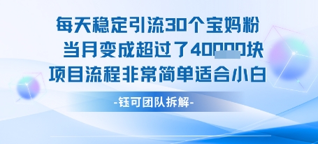 每天稳定引流30个人 当月变成超过了4个W项目流程非常简单适合小白-仙女副业网