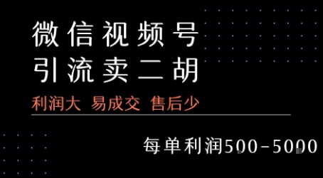 视频号卖二胡教程，利润大 易成交 售后少，一单利润5张+-仙女副业网