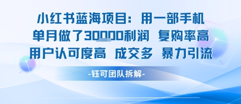 小红书蓝海项目，一部手机单月做了3W利润，小白也能月入过1W用户认可度高成交多-仙女副业网