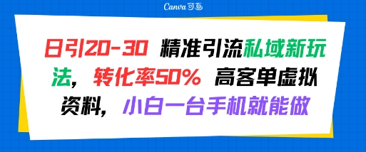 日引 20-30 精准引流私域新玩法，转化率50% 高客单虚拟资料，小白一台手机就能做-仙女副业网