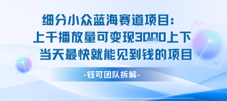 小众蓝海赛道项目：当天变现1k+适合新手操作 +适合长期玩-仙女副业网