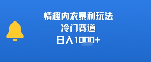 情趣内衣暴利玩法，冷门赛道，日入1k+-仙女副业网