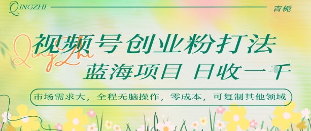 视频号创业粉打法，日入1k，蓝海项目，市场需求大，全程无脑操作，可复制-仙女副业网