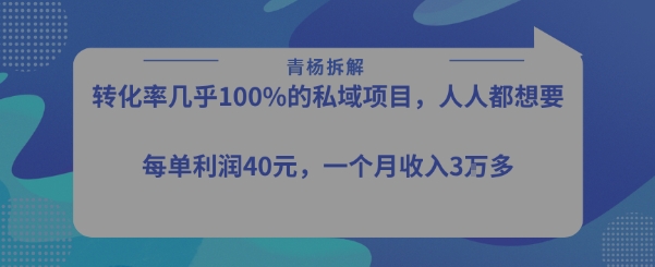 转化率最高的私域项目，每单利润40-50米，月入过1w-仙女副业网