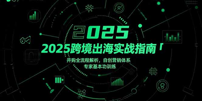 2025跨境出海实战指南，并购全流程解析，自创营销体系，专家基本功训练-仙女副业网
