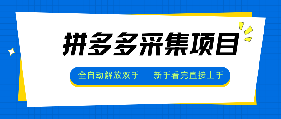 拼多多采集项目，全自动解放双手，单号日入30+-仙女副业网
