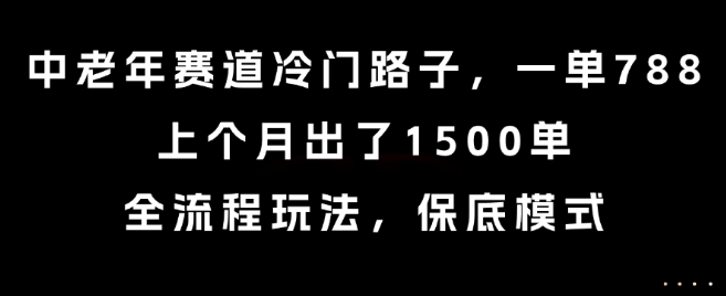 中老年赛道冷门路子，一单788，上个月出了1500单，全流程玩法，保底模式【揭秘】-仙女副业网