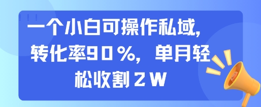 一个小白可操作私域，转化率90%，单月轻松收割2W-仙女副业网