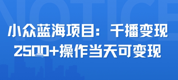 小众蓝海项目，千播变现2.5k+操作当天可变现-仙女副业网