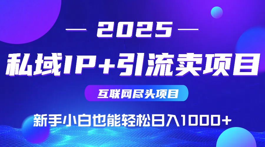 2025网创尽头项目，私域IP+引流，新手小白也能在家日入1000+-仙女副业网