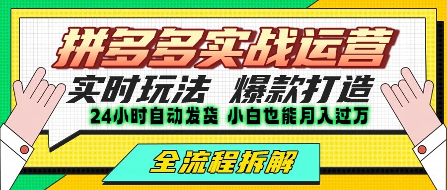 拼多多最新实战运营高投产：长久稳定项目，单店利润一天三位数-仙女副业网
